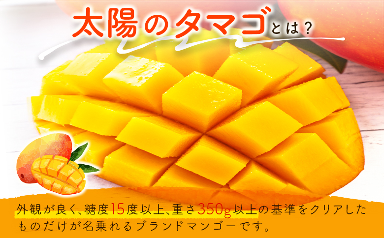 数量限定 宮崎県産 完熟マンゴー＜太陽のタマゴ＞3L×2玉 計900g以上 ※2026年4月下旬配送開始 化粧箱入 フルーツ くだもの【E168-26】
