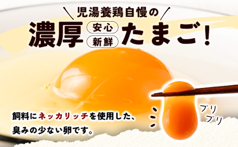＜配送開始月が選べる!!＞児湯養鶏自慢の卵 ネッカリッチ赤たまご「児湯一番」 計480個 （20個入×2箱）×12か月定期便 ※2026年3月配送開始【E19-2603】 2026年3月配送開始