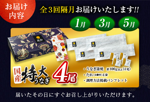 【1月5日受付終了】＜数量限定＞特大 うなぎ 定期便 国産 鰻 蒲焼 4尾セット 全3回 隔月定期便（2026年1月 3月 5月お届け）1尾約200g!! 合計2.4kg以上 魚介 贈答品 ギフト ウナギ 期間限定 鰻楽【E193-800-010305】