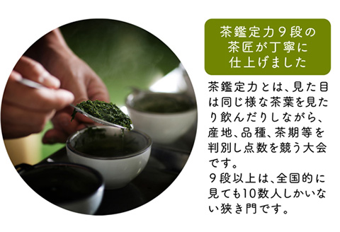 宮崎日本茶専門店 特撰ぐり茶100g 10本セット お茶 緑茶 ギフト お取り寄せ【E230】