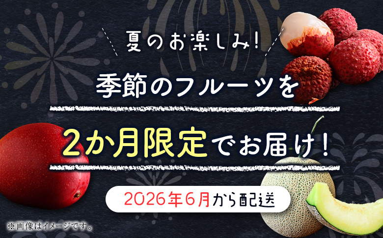 サマーフルーツ定期便 全2回 ＜メロン・マンゴー＆ライチ＞※2026年6月開始 旬 果物【E242】