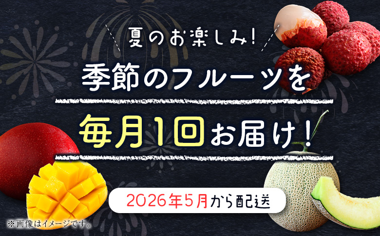 サマーフルーツ定期便 全3回＜メロン・マンゴー・ライチ＞ ※2026年5月開始 旬 果物【E244】