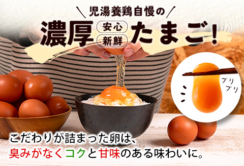新鮮 たまご 定期便 児湯の赤卵30個×12か月定期便 数量限定 期間限定 国産 おすすめ 人気 生活応援【E253-09】