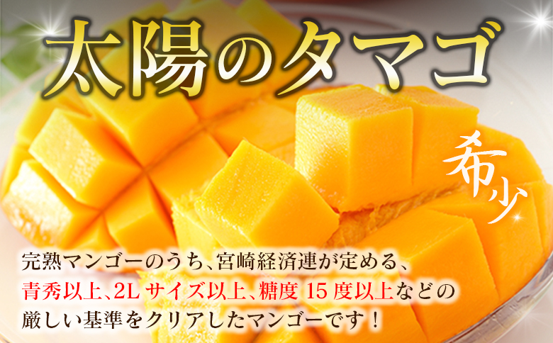 宮崎特産「太陽のタマゴ2L×2玉」お届け定期便（全3回）計6玉 特産 国産 果物 フルーツ 旬 産地直送【F145-26】