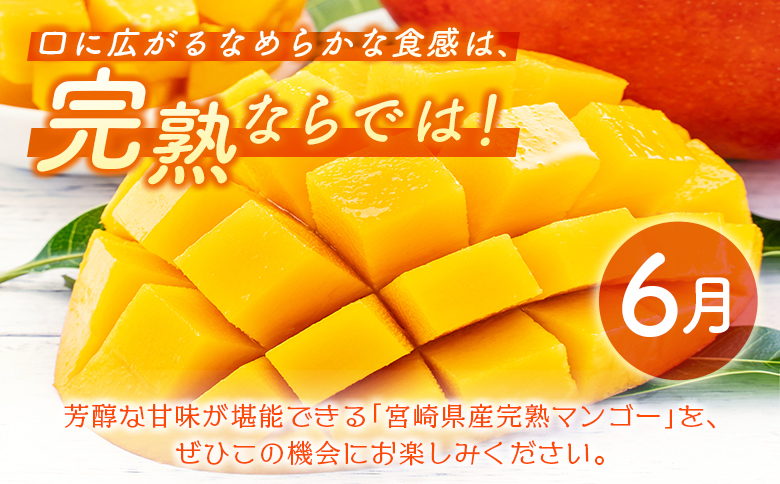 数量限定！＜好き好き定期便＞全4回 人気フルーツコース≪2026年5月配送開始≫ 宮崎県産 フルーツ くだもの 国産【F149-26】