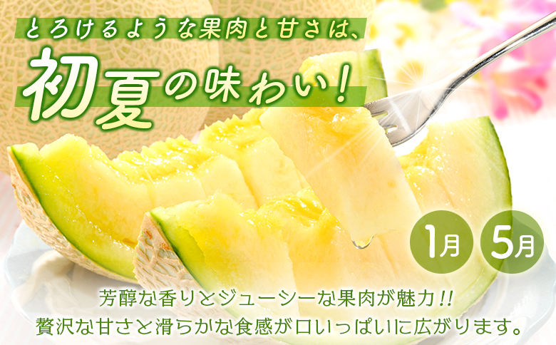 ＜数量限定＞新富町 特産フルーツ 詰め合わせ 定期便 7か月コース くだもの マンゴー ライチ メロン 柑橘 国産【F150-26】