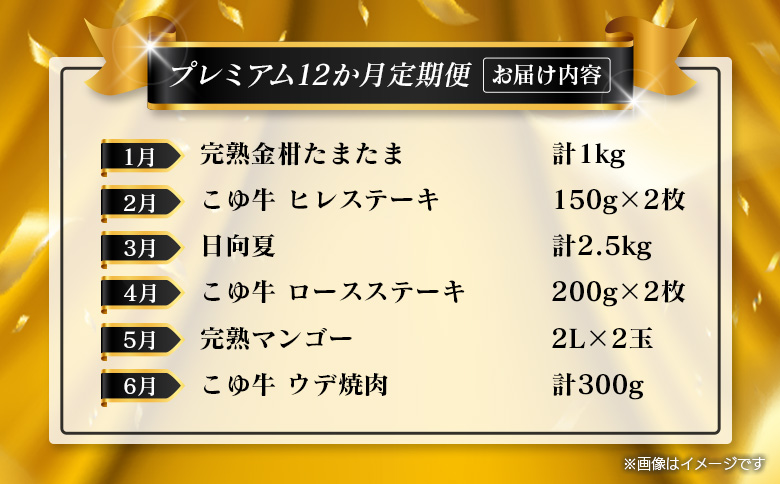＜年末年始限定!!＞宮崎フルーツ＆黒毛和牛 定期便 12か月 1年間 ローカル ブランド マンゴー ライチ メロン 梨 日向夏 ステーキ ヒレ ロース 焼肉 すき焼き しゃぶしゃぶ【F158】