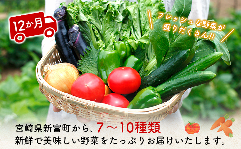 ＜数量限定＞新富町 特産 野菜 詰め合わせ 定期便 12か月コース 旬 やさい 国産 ≪2026年1月配送開始≫【G51-26】