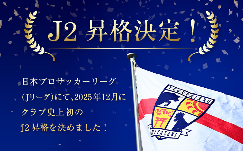 ＜J2昇格応援！＞テゲバジャーロ宮崎の活動支援 1口 5,000円～10,000,000円【返礼品なし】サッカー Jリーグ J2 スポーツ 社会貢献 地域活動 応援寄附 ファン サポーター【S28-06】 寄付額：1,000,000円