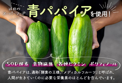 青パパイアバターチキンカレー 200g×10個【C401】