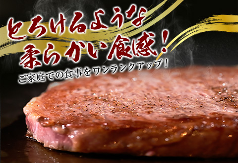 宮崎和牛『齋藤牛』サーロインステーキ計600g(200g×3枚)【E172-60】