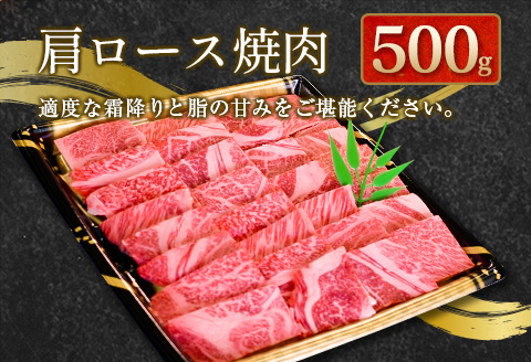 宮崎和牛『齋藤牛』特選焼肉盛合せセット 合計1kg【D116-60】