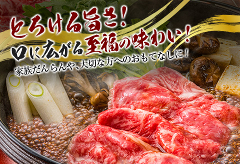 宮崎和牛『齋藤牛』赤身スライス 500g【C362-60】