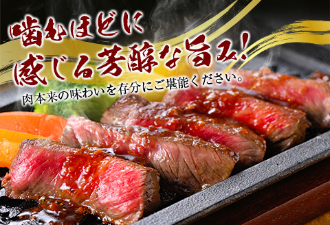 宮崎和牛『齋藤牛』赤身ステーキ計600g(200g×3枚)【C364-60】