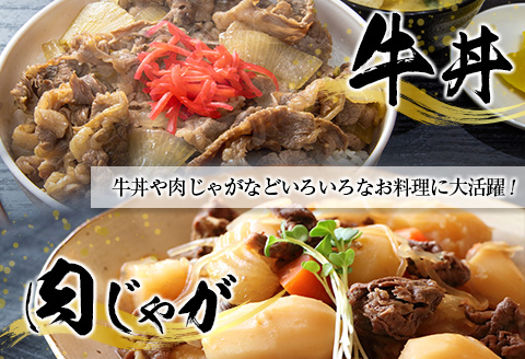 宮崎和牛『齋藤牛』切り落とし肉 計800g (400g×2パック)【B548-60】