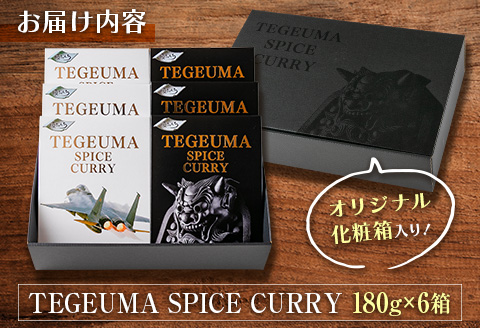 グルテンフリー 無水チキンカレー TEGEUMA SPICE CURRY（テゲうまスパイスカレー）180g×6箱【B595】