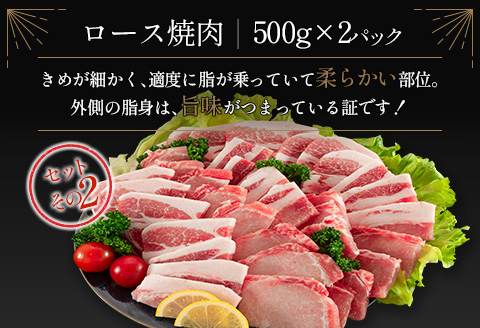 宮崎県産豚 3種 食べ比べ 焼肉 セット（500g×6パック）計3kg 国産 肉 豚肉 ご飯 おかず BBQ 焼き肉【C370-2510-90】