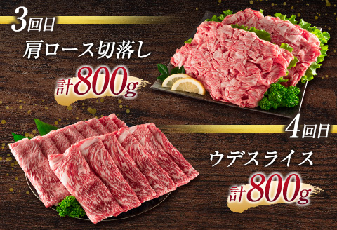 《お楽しみ 6種》［宮崎牛］スペシャル 6か月定期便 総重量4.6kg【F107】