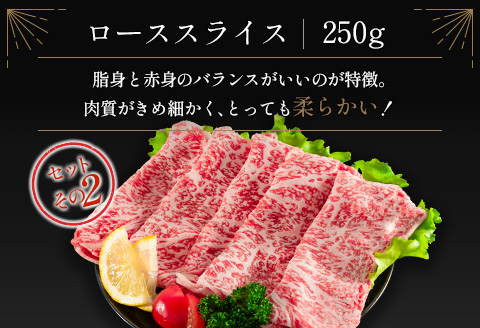 ＜肉質等級4等級＞宮崎牛 4種 食べ比べ スライス セット（各250g×4パック）合計1kg 国産 肉 牛肉 ご飯 おかず【D118-2510-90】