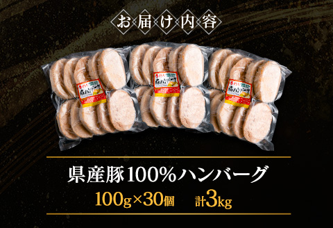 宮崎県産豚ハンバーグ 計3kg【B612】