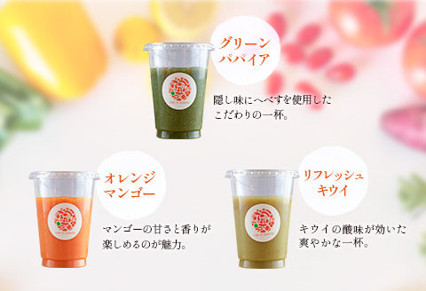 「南国酵素スムージー12本セット」200ml×12本セット　野菜・果実ミックスジュース　青パパイア　果物　フルーツ　飲料　健康　栄養