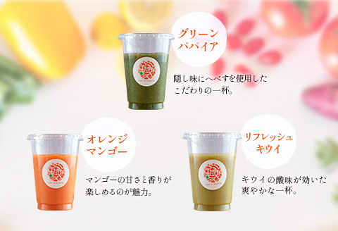 「定期便3か月コース」南国酵素スムージー　200ml×6本セット×3回