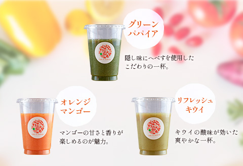 「定期便6か月コース」南国酵素スムージー　200ml×6本セット×6回