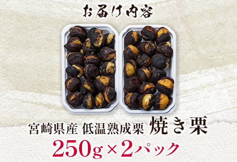 ＜2026年出荷!!＞宮崎県産 低温熟成栗［焼き栗］計500g（250g×2パック）おやつ 秋の味覚 お取り寄せ 先行予約【B617-26】