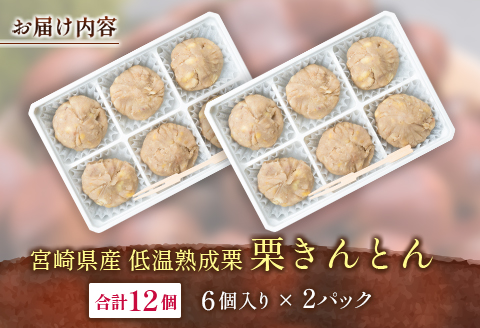 ＜2026年出荷!!＞宮崎県産 低温熟成栗100%［栗きんとん］計12個 おやつ 甘い お取り寄せ 先行予約【B619-26】