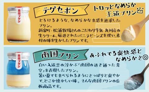 宮崎の新名物！南国プリン9個セット【C257】