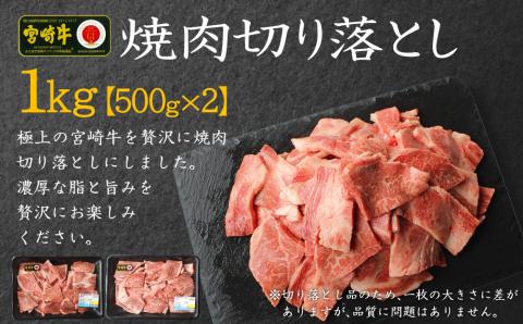 宮崎牛 焼肉 切り落とし 合計1kg（500g×2P）ウデ 牛肉 切り落し 切落し BBQ 国産 普段使い 九州産【C269-30】