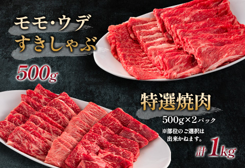 赤身主体の黒毛和牛＜都萬牛＞部位厳選の特選セット