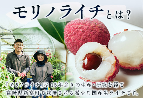 《江森宏之シェフ作》新富町産「モリノライチ」アイスケーキ 5号サイズ 1個 15cmホール【D131】