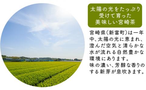 ［宮崎日本茶専門店］くつろぎ日本茶ティーバッグセット(3種5袋)【C263-2509】