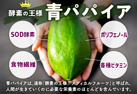 ［お試し］青パパイア酵素シロップ（250ml×1個）ポスト投函【P12】