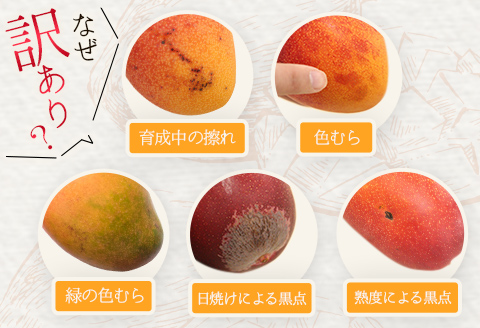 ［訳あり］宮崎県産マンゴー《家庭用》2kg以上（4～6玉）新富町産 完熟 フルーツ 果物【C217-26】