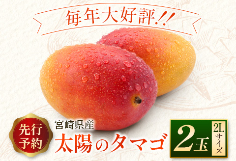 ＜数量限定＞完熟マンゴー「太陽のタマゴ」2Lサイズ 2玉 宮崎県産 先行予約 ブランド フルーツ 果物 ギフト【C218-26】