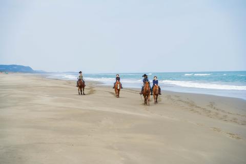 西日本トップクラスの快適さ！潮風感じる乗馬体験(最大4名)