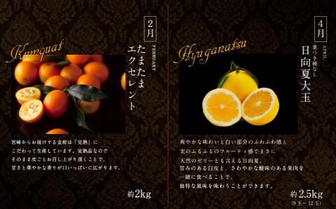 南国宮崎 旬の《至高》フルーツ定期便 偶数月コース（計6回）【F96-24】