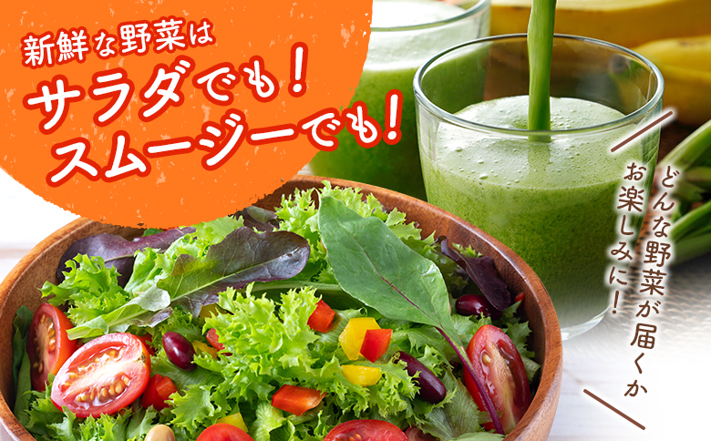 産地直送！旬の野菜（5～8種類）＆ドレッシング セット お試し おまかせ 詰合せ 宮崎県新富町産【B643】