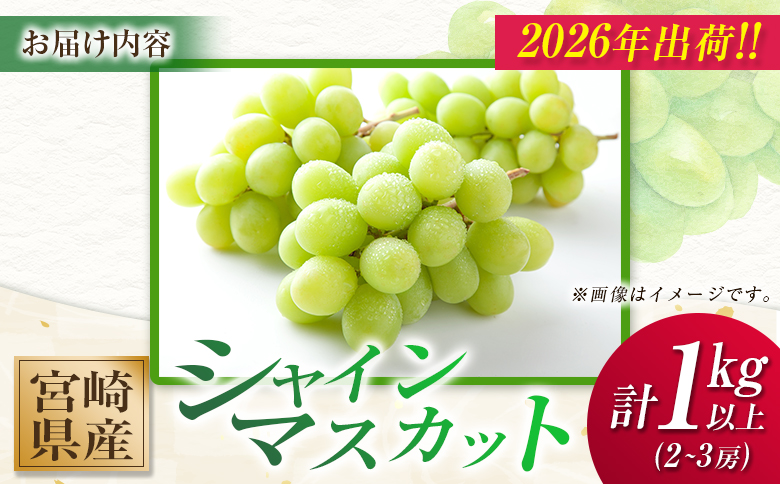 ＜2026年出荷＞先行予約 シャインマスカット 2～3房 計1kg以上 国産 期間限定 くだもの 【A256-26】