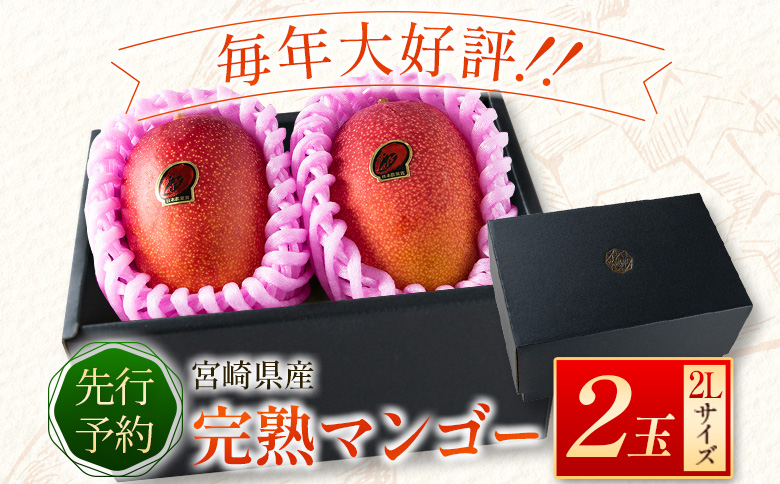 ＜先行予約＞宮崎県産 完熟マンゴー 2L×2玉 数量限定 人気 フルーツ 果物 ギフト【B510-26】