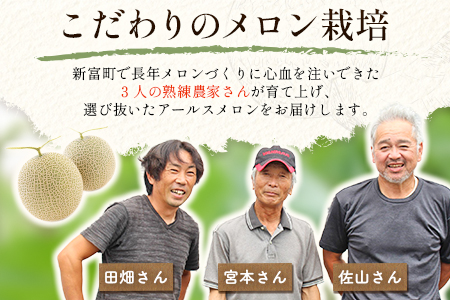 ＜数量限定＞しんとみアールスメロン 2L2玉 計3kg以上 先行予約 国産 フルーツ 果物 宮崎県産 ※2026年5月〜7月の期間内に出荷【B520-02】 2026年5月〜7月の期間内に出荷