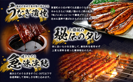 ＜2026年1月お届け＞うなぎ 鰻楽 国産 蒲焼 2尾 計360g以上 無頭 高評価 おすすめ 冷凍 簡単調理 個包装 鰻 魚介 贈答品 ギフト 贈り物【B555-2601】 2026年1月お届け