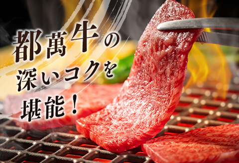 黒毛和牛＜都萬牛＞焼肉 300g【B575-2603】