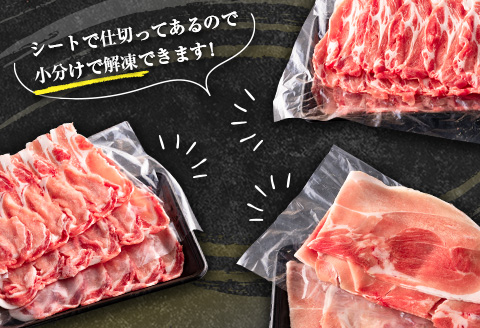 ＜選べる配送月＞宮崎県産 豚しゃぶしゃぶ三種盛り食べ比べセット 合計2.2kg ※2026年3月お届け【B584-2603】 2026年3月お届け