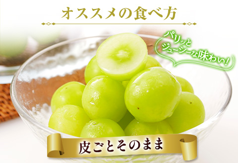 ＜先行予約＞シャインマスカット 2房 約1kg+100g補償付 ※2026年8月下旬～【B606-26】