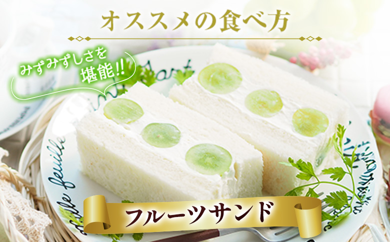 訳あり［不揃い・小粒］シャインマスカット 4パック 約1.3kg+100g補償付 ご家庭用 宮崎県新富町産 製菓用 先行予約 ※2026年8月下旬～【B638-26】