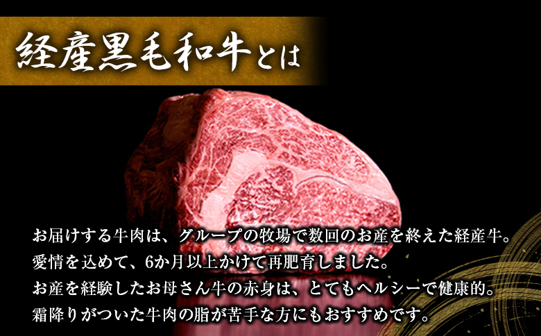 宮崎県産黒毛和牛＜新富育ちGyuGyu・贅沢スライスセット（500g×2P）＞合計1kg 肉 牛肉 宮崎県産【B653】