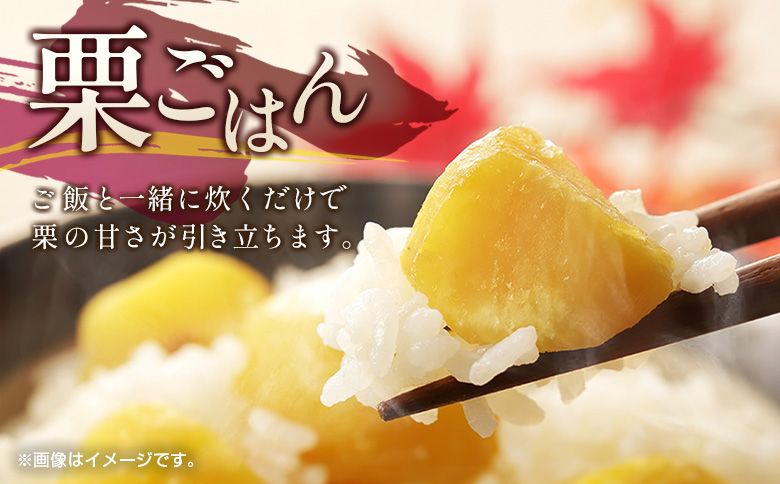 ＜2026年出荷!!＞国産 新鮮朝どれ（生栗）2kg お取り寄せ 産地直送 宝珠栗 数量限定 宮崎県新富町産 先行予約【B669-26】